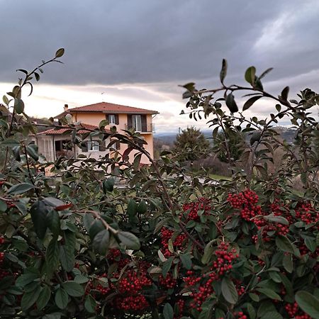 La Casa Di Mezzo-Affitti Brevi-Zona Ospedali Villa Busso Kültér fotó