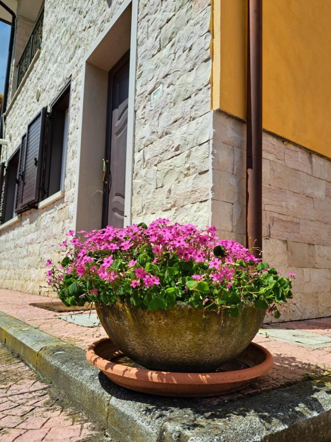 La Casa Di Mezzo-Affitti Brevi-Zona Ospedali Villa Busso Kültér fotó